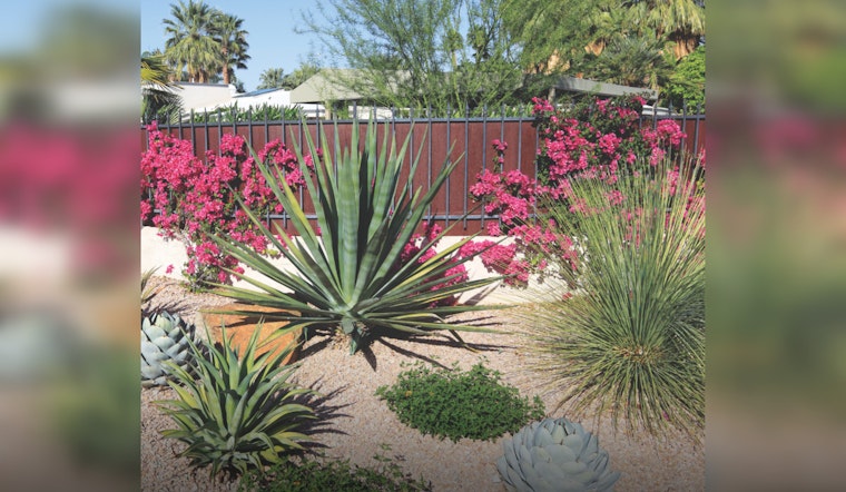 Queen Creek Launches Incentive Program for Water-Smart Landscaping Amid Drought Concerns