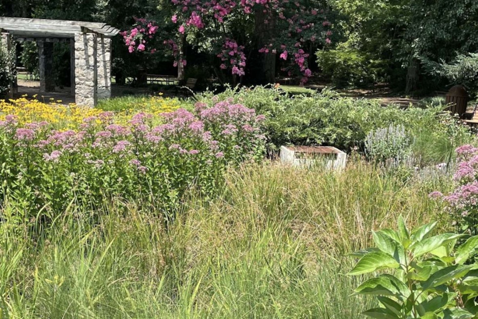Raleigh Unveils Online GSI Virtual Tour for Eco-Friendly Water Management Exploration