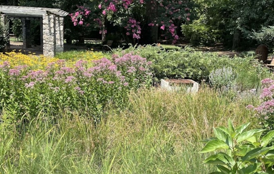 Raleigh Unveils Online GSI Virtual Tour for Eco-Friendly Water Management Exploration