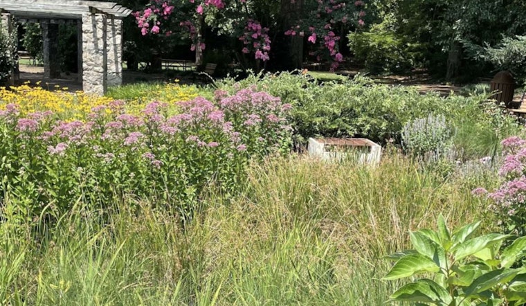 Raleigh Unveils Online GSI Virtual Tour for Eco-Friendly Water Management Exploration