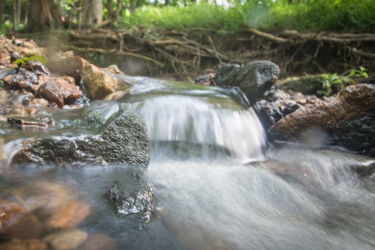 Raleigh Unveils Postcards from the Parks Initiative to Revive Handwritten Notes and Encourage Digital Detox