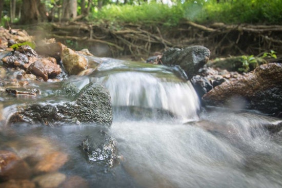 Raleigh Unveils Postcards from the Parks Initiative to Revive Handwritten Notes and Encourage Digital Detox