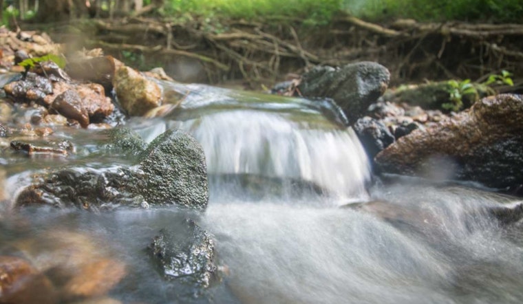 Raleigh Unveils Postcards from the Parks Initiative to Revive Handwritten Notes and Encourage Digital Detox
