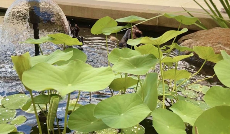 Raleigh Water Unveils Serene Recycled Water Pond at Neuse River Resource Recovery Facility