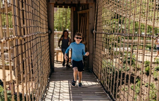 Raleigh's Gipson Play Plaza Becomes Southeast's Largest Adventure Playground, Welcoming Over 100,000 Visitors
