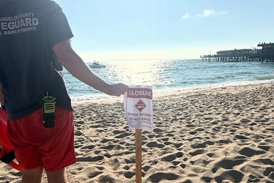 Redondo Beach Temporarily Closed Due to Shark Aggression Near Pier, Reopens in the Evening