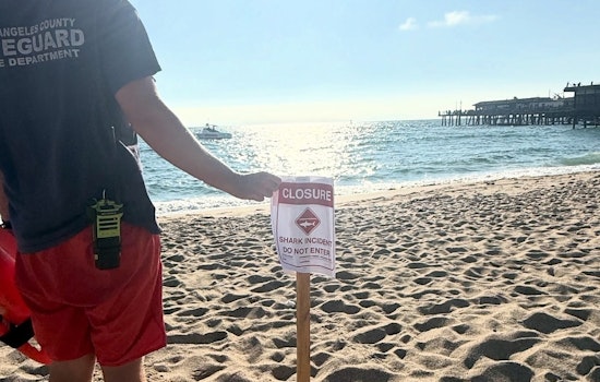 Redondo Beach Temporarily Closed Due to Shark Aggression Near Pier, Reopens in the Evening