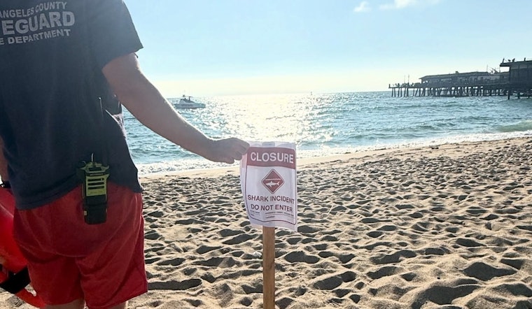 Redondo Beach Temporarily Closed Due to Shark Aggression Near Pier, Reopens in the Evening