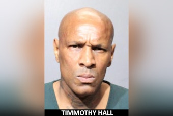 Registered Sex Offender Arrested for Alleged Kidnap Attempt and Indecent Exposure in Daytona Beach