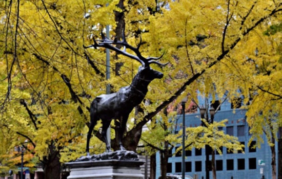Restoration of Historic Thompson Elk Fountain Begins in Downtown Portland