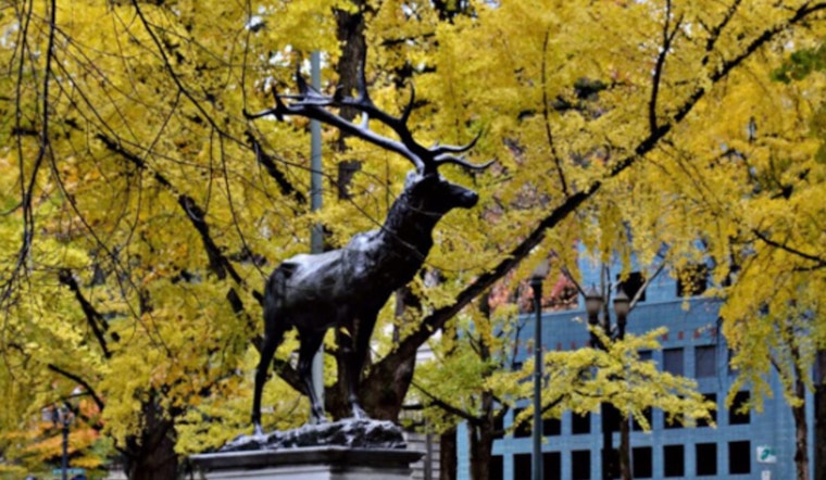 Restoration of Historic Thompson Elk Fountain Begins in Downtown Portland