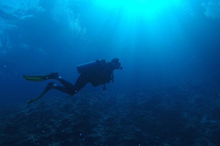 Revitalizing Miami's Reefs, Scientists Plant Heat-Resistant Crossbred Corals to Combat Climate Change