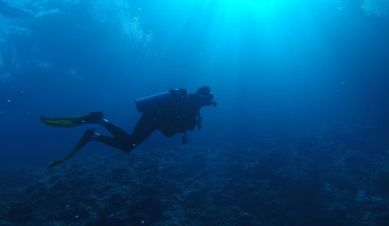 Revitalizing Miami's Reefs, Scientists Plant Heat-Resistant Crossbred Corals to Combat Climate Change