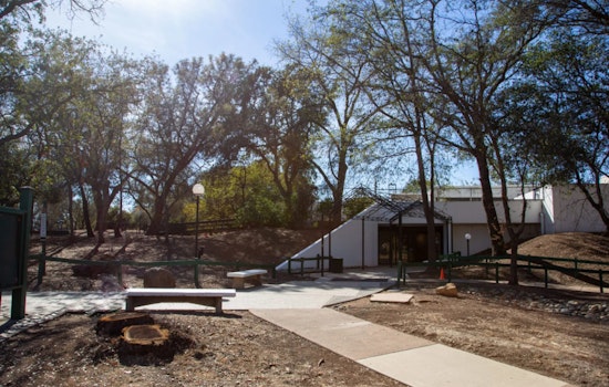 Sacramento Addresses Homelessness, Over 890 Concerns Responded To and 81 Shelter Placements in Last Week of June