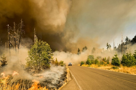 Sacramento Fire Department Battles 250-Acre Blaze, No Homes or Livestock Injured
