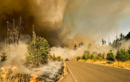 Sacramento Fire Department Battles 250-Acre Blaze, No Homes or Livestock Injured