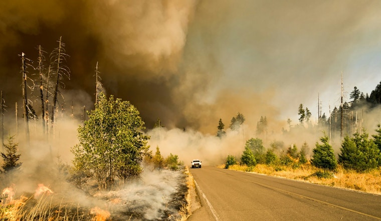 Sacramento Fire Department Battles 250-Acre Blaze, No Homes or Livestock Injured