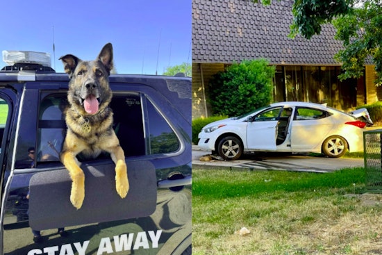 Sacramento Teen Arrested After High-Speed Chase as K9 Hoss Aids in Apprehension