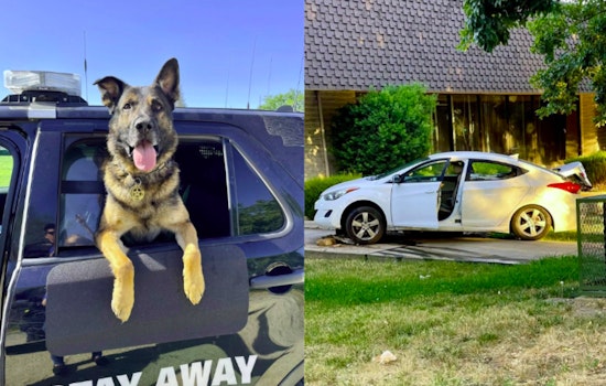 Sacramento Teen Arrested After High-Speed Chase as K9 Hoss Aids in Apprehension