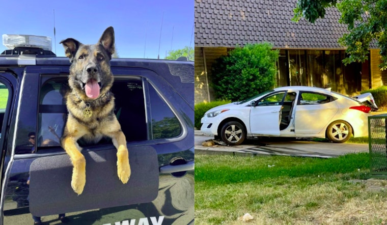 Sacramento Teen Arrested After High-Speed Chase as K9 Hoss Aids in Apprehension