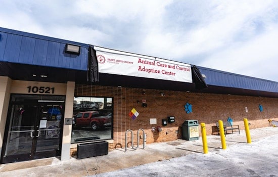 Saint Louis County Animal Shelter Wins State License, Calls for Community Support in Adoption Effort