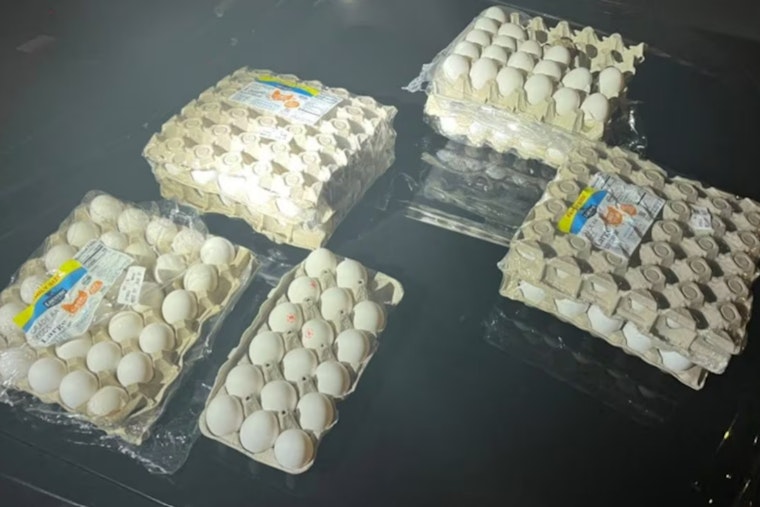 Salem Duo Arrested for Allegedly Targeting Unhoused with Egg Throwing Spree