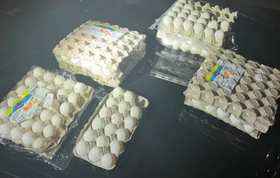 Salem Duo Arrested for Allegedly Targeting Unhoused with Egg Throwing Spree