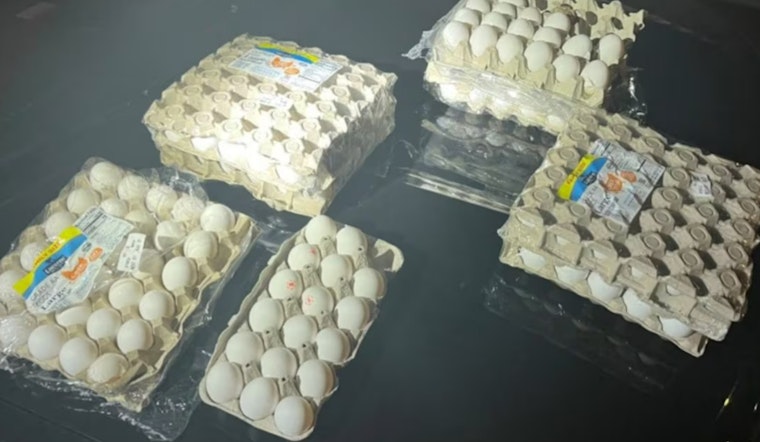 Salem Duo Arrested for Allegedly Targeting Unhoused with Egg Throwing Spree