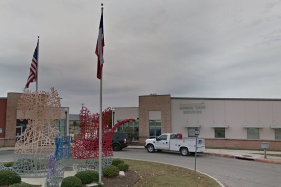 San Antonio Animal Care Services Urges Pet Safety During Fourth of July Celebrations