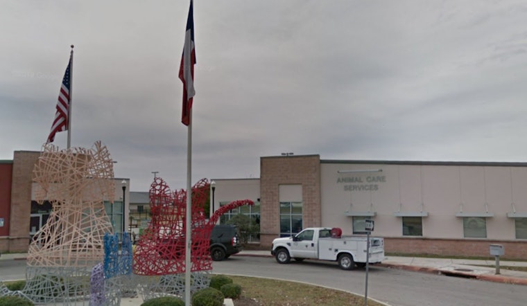 San Antonio Animal Care Services Urges Pet Safety During Fourth of July Celebrations