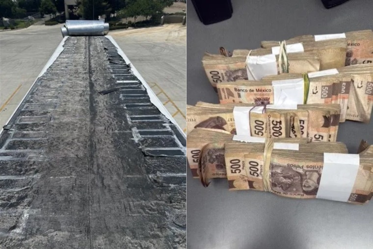 San Diego's CBP Super Sweep: Over $19.9M in Drugs, Weapons & Wildlife Nabbed at Ports of Entry