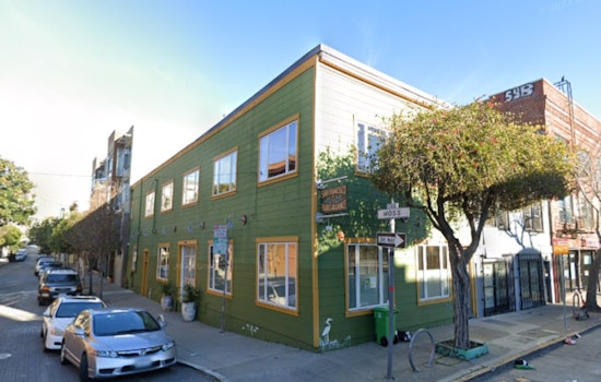 San Francisco City Officials Grill Former Parks Alliance Executives Over Financial Mismanagement Scandal