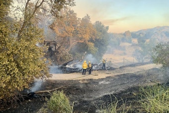 San José Firefighters Quell 30-Acre Wildfire near Hellyer Ave., No Injuries Reported