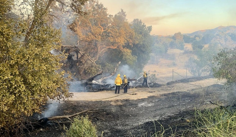 San José Firefighters Quell 30-Acre Wildfire near Hellyer Ave., No Injuries Reported
