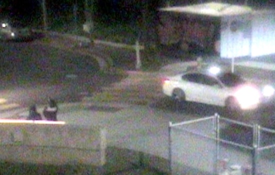 San José Police Investigate Fourth Homicide of 2025, Suspected Gang Violence in Seven Trees Neighborhood
