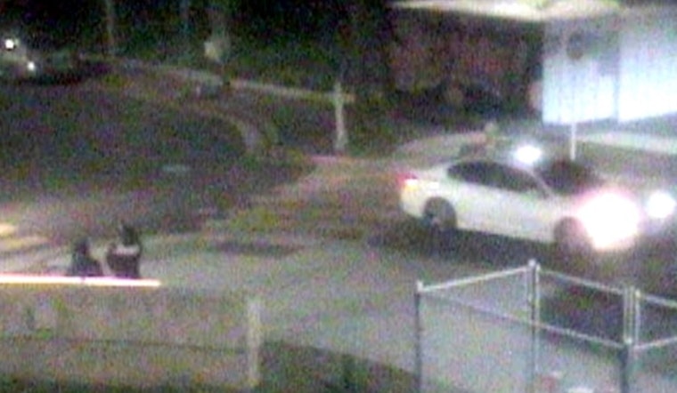 San José Police Investigate Fourth Homicide of 2025, Suspected Gang Violence in Seven Trees Neighborhood