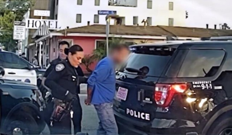 Santa Monica Police Detain 10 in Retail Theft Sting at Bustling 3rd Street Promenade