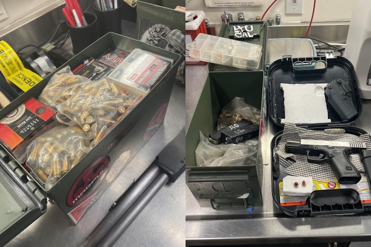 Santa Rosa Man, Tyler Stolz, Accused of Possessing Illegal Arsenal and Stolen Property