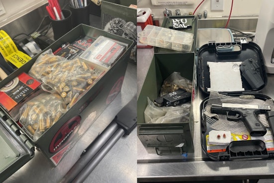 Santa Rosa Man, Tyler Stolz, Accused of Possessing Illegal Arsenal and Stolen Property