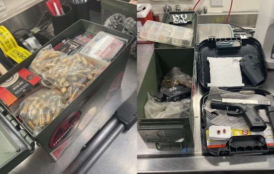 Santa Rosa Man, Tyler Stolz, Accused of Possessing Illegal Arsenal and Stolen Property