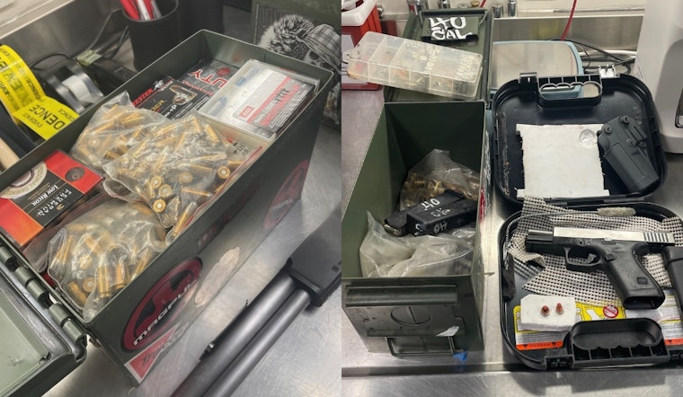 Santa Rosa Man, Tyler Stolz, Accused of Possessing Illegal Arsenal and Stolen Property
