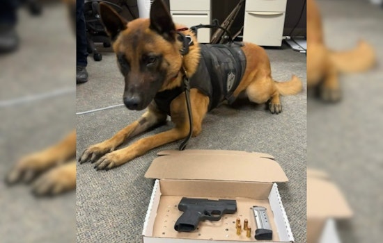 Santa Rosa Police Discover Loaded Gun During Traffic Stop, Two Suspected Gang-Affiliated Men Face Felony Charges