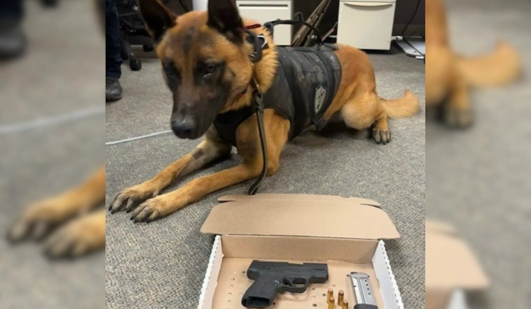 Santa Rosa Police Discover Loaded Gun During Traffic Stop, Two Suspected Gang-Affiliated Men Face Felony Charges
