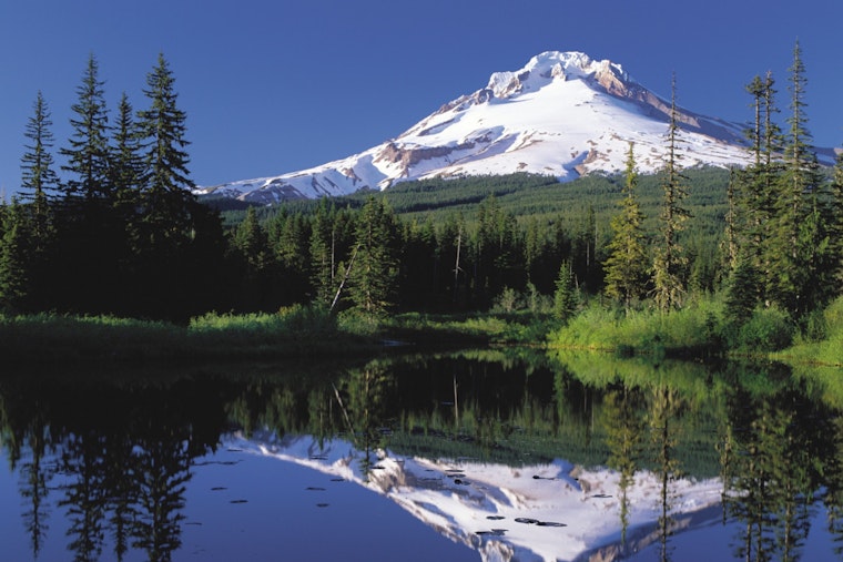 Search for Gresham Mountain Biker Near Mount Hood Intensifies as Concerns Grow
