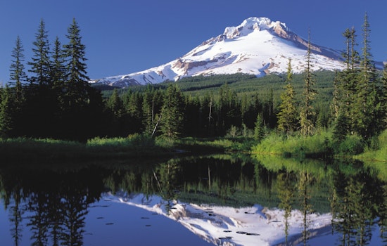 Search for Gresham Mountain Biker Near Mount Hood Intensifies as Concerns Grow