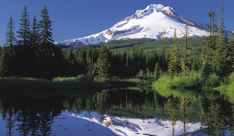 Search for Gresham Mountain Biker Near Mount Hood Intensifies as Concerns Grow