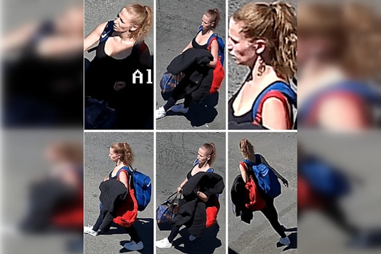 Seattle Police Seek Public's Help to Locate Suspect in SODO Fatal Stabbing