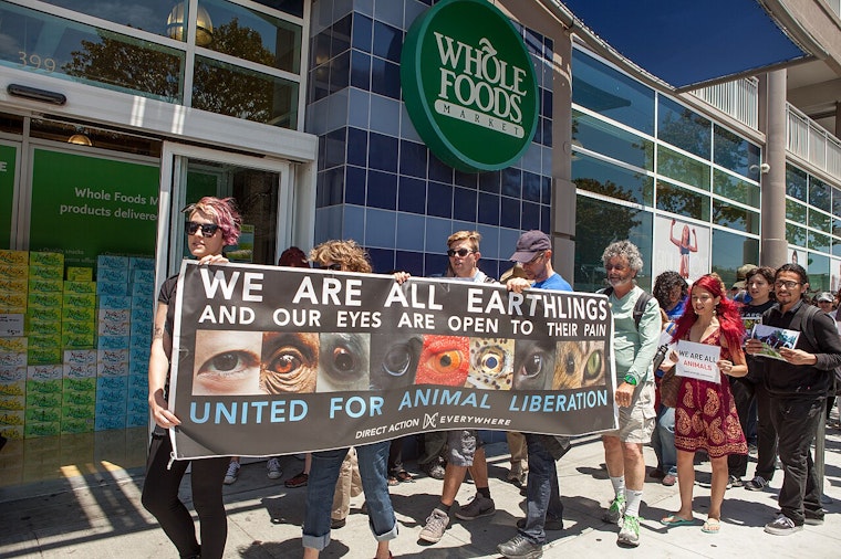 SF-Berkeley Activists Superglue Bodies to LA Trader Joe's Chicken Cases as Protest War Escalates
