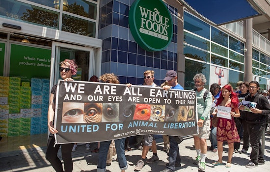 SF-Berkeley Activists Superglue Bodies to LA Trader Joe's Chicken Cases as Protest War Escalates