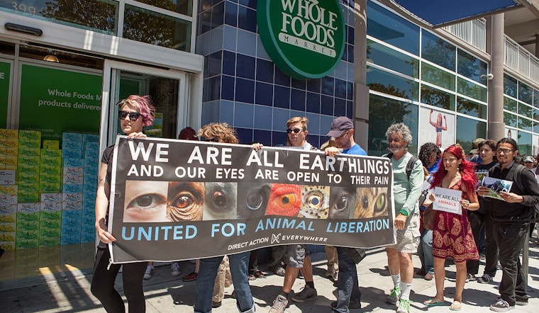 SF-Berkeley Activists Superglue Bodies to LA Trader Joe's Chicken Cases as Protest War Escalates
